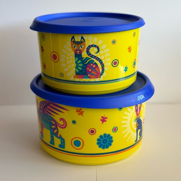 Tupperware alebrijes - Picture 1 of 2